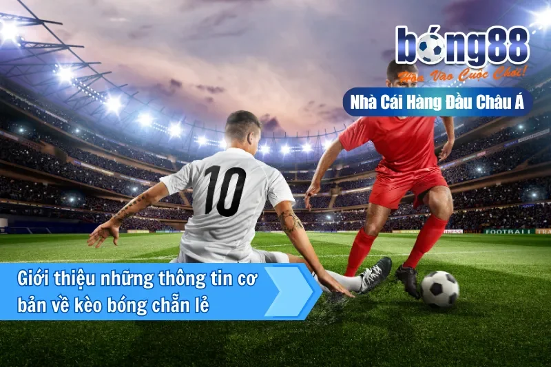 Giới thiệu kèo chẵn lẻ Odd Even tại Bong88