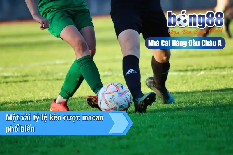 Bảng quy đổi tỷ lệ Macao Decimal Malaysia