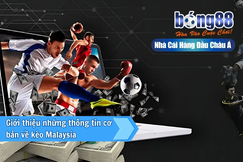Giới thiệu về kiểu tỷ lệ kèo Malaysia tại Bong88