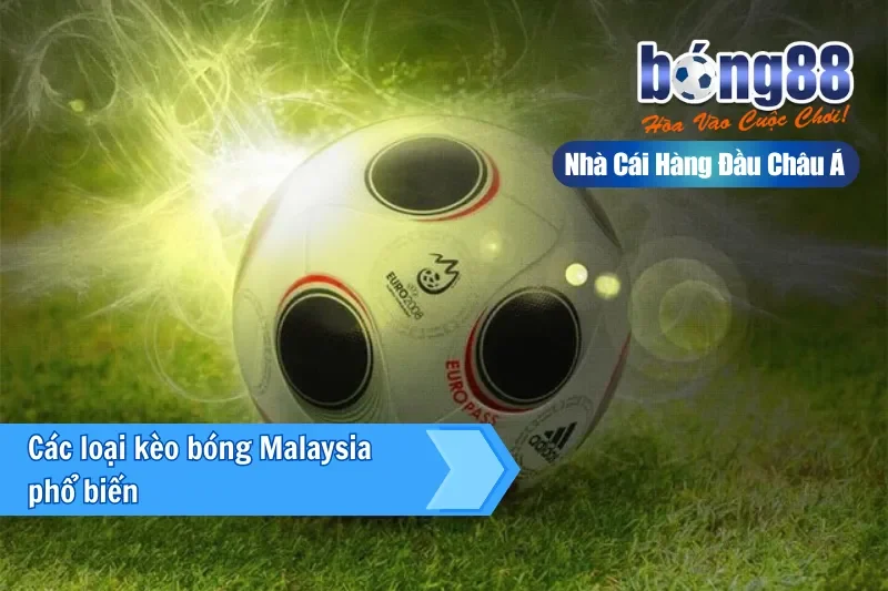 Kinh nghiệm đọc kèo Malaysia cho người chơi Việt Nam