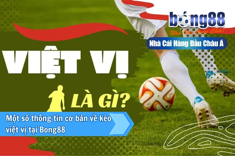 Kèo Việt Vị Là Gì? Cơ Chế Chiến Thuật & Bộ Dữ Liệu Phân Tích 2 Giới thiệu kèo việt vị tại Bong88